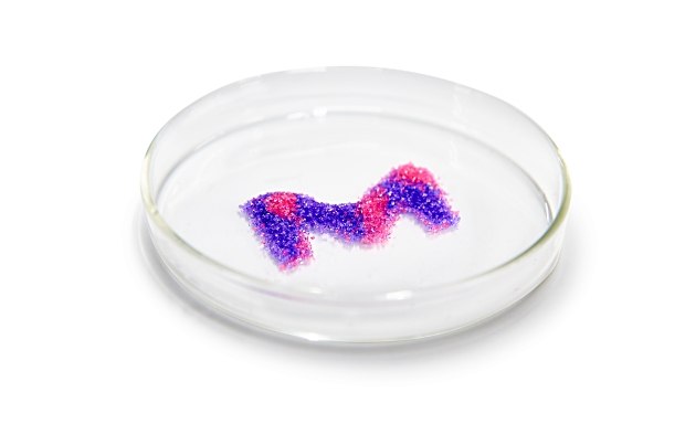 Six small piles of high-purity salts, each with a distinct color, neatly arranged in a row against a white background. From left to right, the salts and their corresponding chemical formulas are: 1) Magnesium Chloride (MgCl2): White salt, 2) Calcium Chloride (CaCl2): Pink salt, 3) Manganese(II) Chloride (MnCl2): Off-white salt, 4) Iron(III) Chloride (FeCl3): Orange-brown salt, 5) Nickel(II) Chloride (NiCl2): Green salt, 6) Copper(II) Chloride (CuCl2): Blue salt. Each chemical formula is written in black text below its corresponding pile of salt.