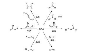 Organozinc Reagents