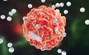 Destruction of a tumor cell by drug loaded nanoparticles Polymeric Microspheres & Nanoparticles