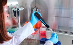 科学家正在使用细胞计数设备 玻璃和塑料类酸试剂瓶