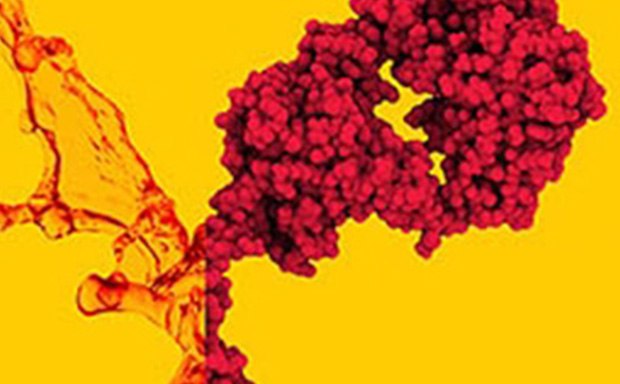 A microscopic view of cell structures against a yellow background.