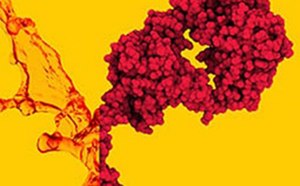 Bioprocessing Cell Culture