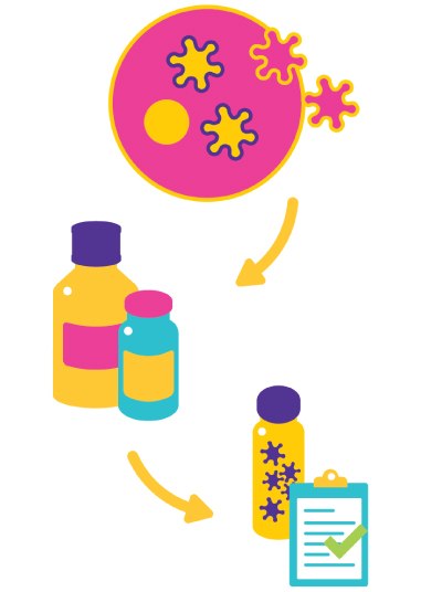 A graphical illustration depicting the process of treating a virus, starting with a pink petri dish containing yellow bacteria at the top, leading to two bottles of medicine in yellow and blue, and concluding with a clipboard featuring a green check mark, symbolizing the successful completion of treatment.