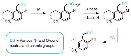 耐胺的无规C-H羟基化图示