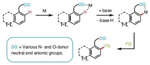 c-h-activation-catalyst-selectivity1.jpg