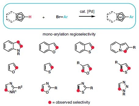 Ir催化C-H硼化反应的选择性图示