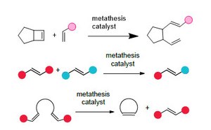 Olefin Metathesis Olefin Metathesis