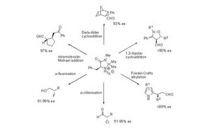 Organocatalysts Organocatalysts