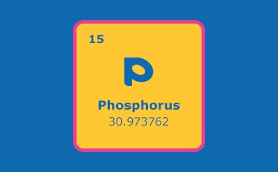 A graphic representation of the chemical element Phosphorus from the periodic table, showing its atomic number ‘15’, and its atomic weight ‘30.973762’. 