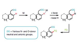 strategy-C–H-functionalization-mcp.jpg