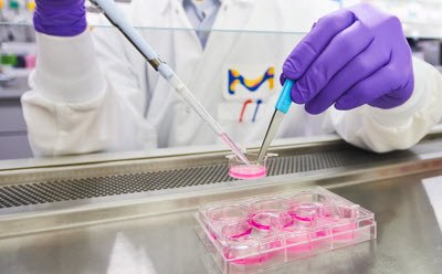 A laboratory setting where a researcher, wearing a white lab coat and purple gloves, is using a pipette to transfer a pink substance into one of several wells in a clear, multi-well cell culture insert tray. The tray is likely filled with Millicell® hanging inserts, which are being used for cell monolayer studies. The background features blurred images of other laboratory equipment and supplies, indicating a clean and professional laboratory environment.