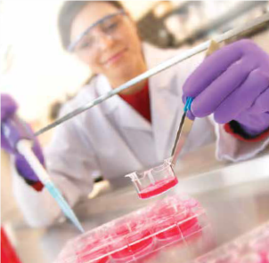 探索生物学相关结果的Millicell®培养器具