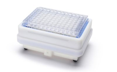 MultiScreen® plate on vacuum manifold MultiScreen® plate on vacuum manifold