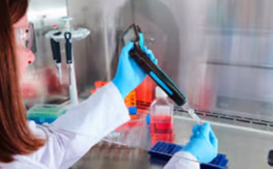 The Scepter™ 3.0 cell counter can be used in the tissue culture hood The Scepter™ 3.0 cell counter can be used in the tissue culture hood