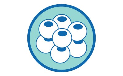 Illustration of a group of round cells with hollow centers, enclosed in a blue circle.