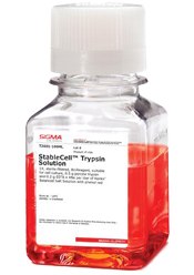StableCell™ trypsin cell detachment reagent StableCell™胰蛋白酶解离试剂可在室温下保持活性