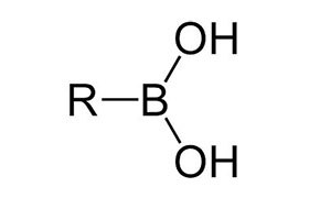 Boronic Acids & Derivatives Boronic Acids & Derivatives