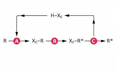 Diastereoselective transformation using chiral auxiliaries for asymmetric synthesis
