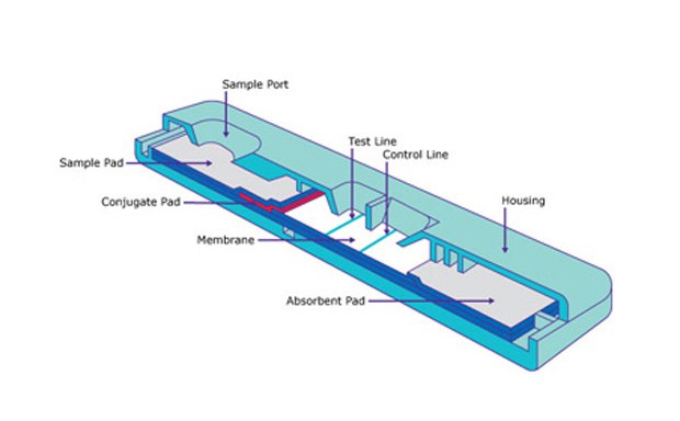 Lateral Flow Membranes