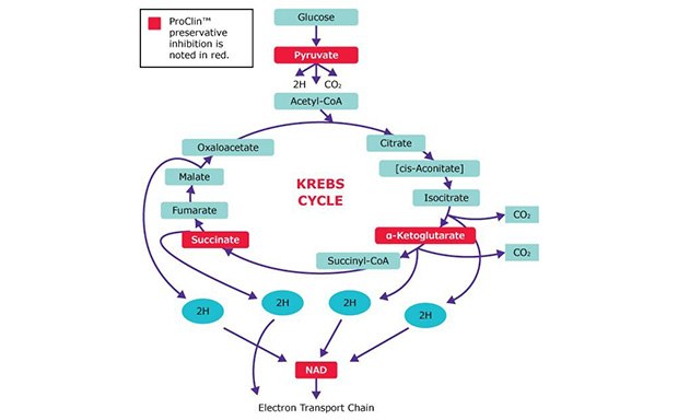 ProClin™ Preservatives