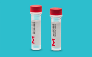 Custom & Predesigned RNA Oligos, siRNA Duplexes, & Controls Custom & Predesigned RNA Oligos, siRNA Duplexes, & Controls