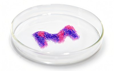 Petri dish with dynamic M created from high-purity salts Petri dish with dynamic M created from high-purity salts