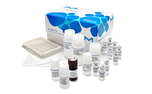 ELISA Kits and Reagents