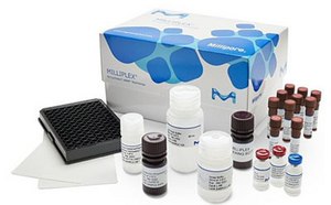 Immunoassay Platform Solutions Immunoassay Platform Solutions