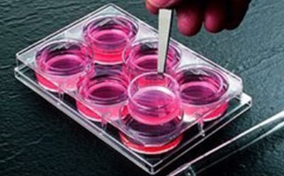 Cell Culture Inserts 细胞培养小室