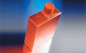 Corning Cellbind Surface Hyperflask Cell Culture Vessels 康宁 CellBIND 表面 HYPERFlask 细胞培养容器