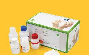 Nucleic Acid Preparation Illustra™核酸制备