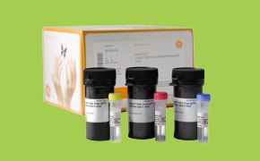 Fluorescent Labels Cy3®和Cy5®荧光标记