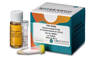 Photograph of TG1 DUOs electrocompetent cells product including packaging box and three vials.