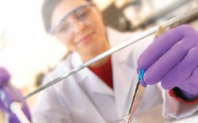 Millicell® Cell Culture Inserts & Plates