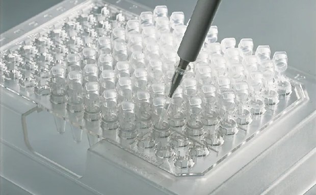 A pipette dispensing liquid into a microtiter plate with multiple clear wells. 