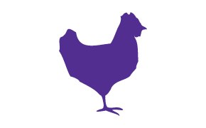 Image of a Chicken