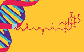 DIG Labeling Methods DIG Labeling Methods