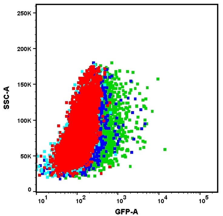 Flow Cytometry