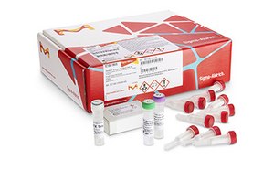 GenElute™-E Single Spin DNA purification kit GenElute™-E Single Spin DNA purification kit