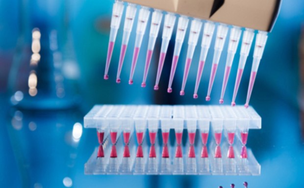 A close-up image of a multi-channel pipette dispensing a red liquid into a tray of wells. The background is blurred with blue tones, highlighting the precision and detail of the laboratory equipment in use.