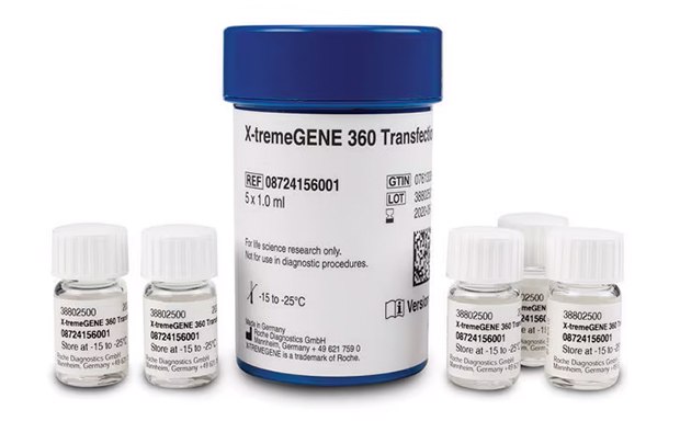 Six laboratory bottles arranged in two rows. The back row features a larger bottle with a blue cap labeled “X-tremeGENE 360 Transfection Reagent,” including product details and storage instructions. In front, there are five smaller bottles with white caps, each labeled with different codes: D4072, D4073, D4074, D4075, and D4076.