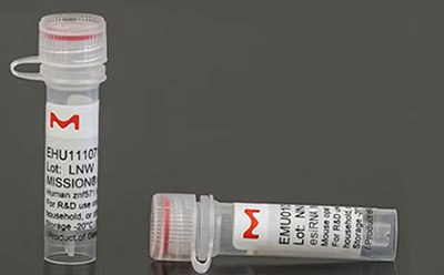 Individual esiRNA in tubes