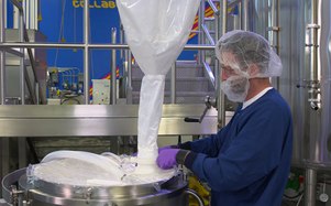 Bulk Powder Transfer Bags