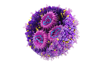 Cross-section view of liposome used in drug product development and manufacturing Cross-section view of liposome used in drug product development and manufacturing