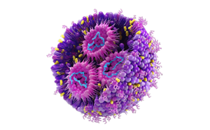 Cross-section view of liposome used in drug product development and manufacturing Cross-section view of liposome used in drug product development and manufacturing