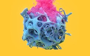 Schematic graph showing how the active ingredients is being loaded on the surface and into the pores of mesoporous silica.