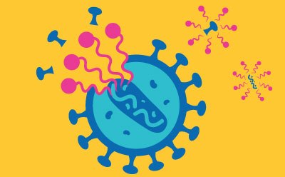Viral Inactivation An illustration of a virus depicted in a stylized manner. The virus is shown as a large blue circle with a lighter blue inner section, surrounded by spiky protrusions. Colorful pink and purple shapes, representing viral particles or proteins, are shown emanating from the virus against a bright yellow background.