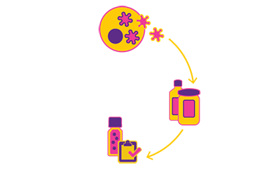 VirusExpress<sup>®</sup> 生产平台包括适应悬浮培养的细胞系、化学成分明确的培养基、以及性能已得到证明的生产工艺。 VirusExpress™ 慢病毒生产平台包括适应悬浮培养的细胞系、化学成分明确的培养基、以及性能已得到证明的生产工艺。