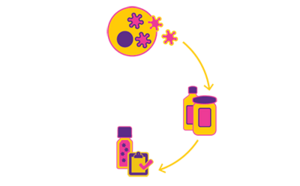 Viral Vector Upstream Platforms