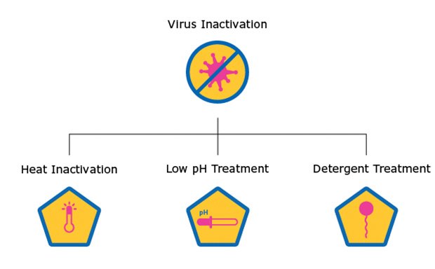 Graphic of Virus Inactivation: A: Heat Inactivation; B: Low pH Treatment; C: Detergent Treatment